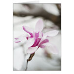 Carte de voeux de fleur de magnolia