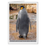 Carte de voeux de pingouin