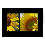 Carte de voeux de tournesols