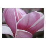 Carte de voeux fleurissante d'arbre de magnolia