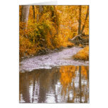 carte de voeux jaune d'arbres