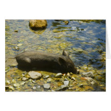 Carte de voeux noire de porc