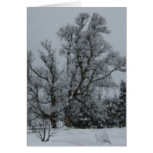 Carte d'Ève d'hiver