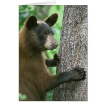 Carte d'oreilles de CUB d'ours grande