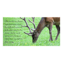 Carte douce de cerfs communs cartes de vœux avec photo