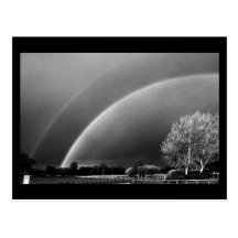Carte-Nature-Art de Rain-17 Cartes Postales
