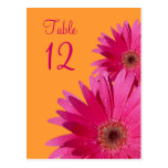 Carte orange et rose de nombre de Tableau de margu Carte Postale