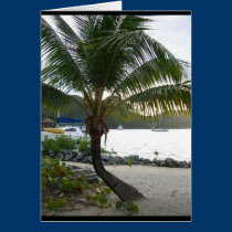 carte palmtree3 cartes