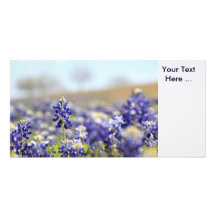 Carte photo de Bluebonnets Modèle Pour Photocarte