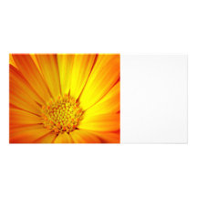 Carte photo de marguerite photocartes personnalisées