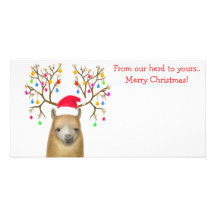 Carte photo de Noël d'alpaga Carte Avec Photo