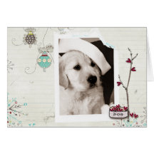 Carte photo de Noël d'animal familier