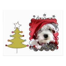 Carte photo de Noël d'animal familier Cartes Postales