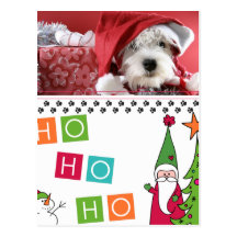 Carte photo de Noël d'animal familier Cartes Postales