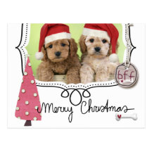 Carte photo de Noël d'animal familier Cartes Postales