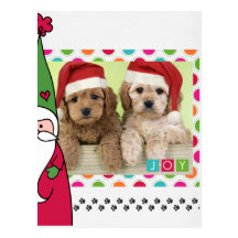 Carte photo de Noël d'animal familier Cartes Postales
