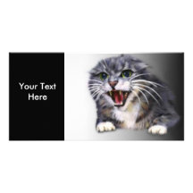 Carte photo gris fou de chat photocarte personnalisée