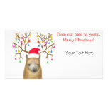 Carte photo personnalisable de Noël d'alpaga Photocarte Personnalisée