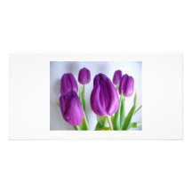 Carte photo pourpre de tulipes photocarte personnalisée