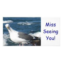 Carte photo : Regard de la mouette Cartes De Vœux Avec Photo