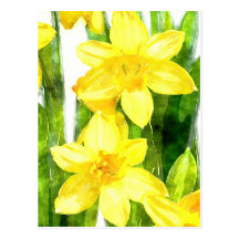 Carte postale avec des jonquilles dans l'aquarelle