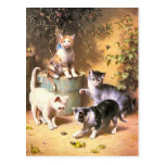 Carte postale : "Chatons jouant avec des scarabées