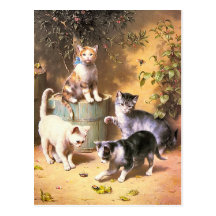 Carte postale : "Chatons jouant avec des scarabées