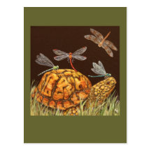 carte postale d'autobus scolaire de tortue