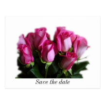 carte postale de bouquet de rose de rose