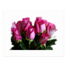 carte postale de bouquet de rose de rose