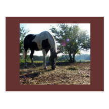 carte postale de breezysunbeams