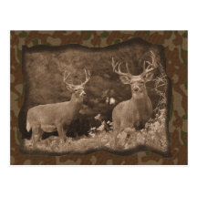 Carte postale de Camo de cerfs communs