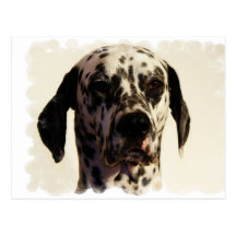 Carte postale de chien de Dalmation