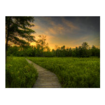Carte postale de coucher du soleil de prairie d'Ir