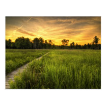 Carte postale de coucher du soleil de prairie d'Ir