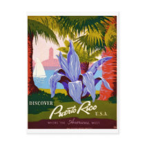 Carte postale de cru du Porto Rico