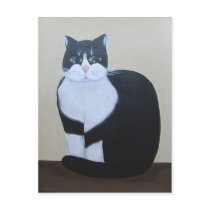 Carte postale de ~ de M. Whiskers