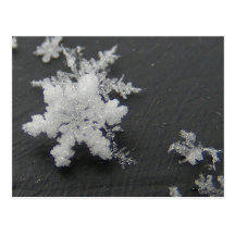 Carte postale de ~ du flocon 73 de neige
