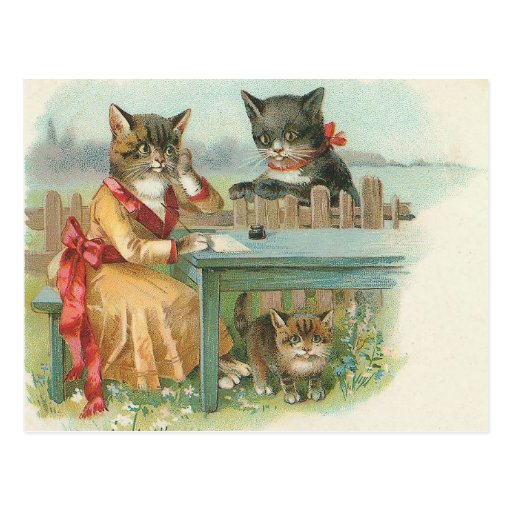 carte postale de famille de chat