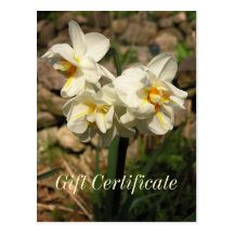 Carte postale de fantaisie de certificat-prime de 