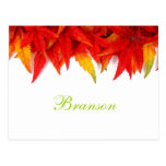 Carte postale de feuille d'automne de Branson Miss