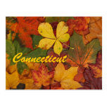 Carte postale de feuille d'automne du Connecticut