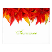 Carte postale de feuille d'automne du Tennessee
