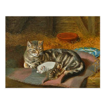 Carte postale de maman Cat et chiot : "L'invité in
