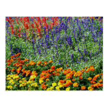 Carte postale de peinture d'art numérique de jardi