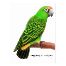 Carte postale de perroquet de Jardines