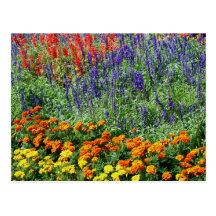 Carte postale de photographie de fleur de beauté d