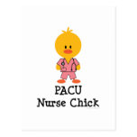 Carte postale de poussin d'infirmière de PACU
