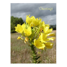 Carte postale de salutations