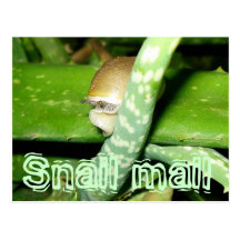 Carte postale de snail mail